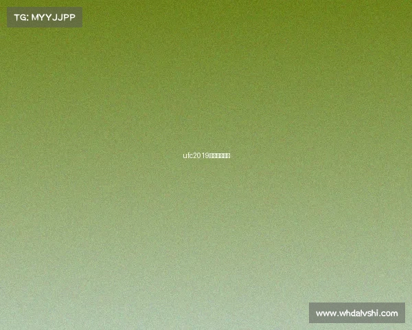 ufc2019最新比赛视频