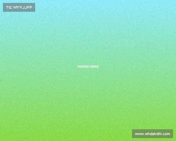 中国搏击最新赛事-中国搏击比赛